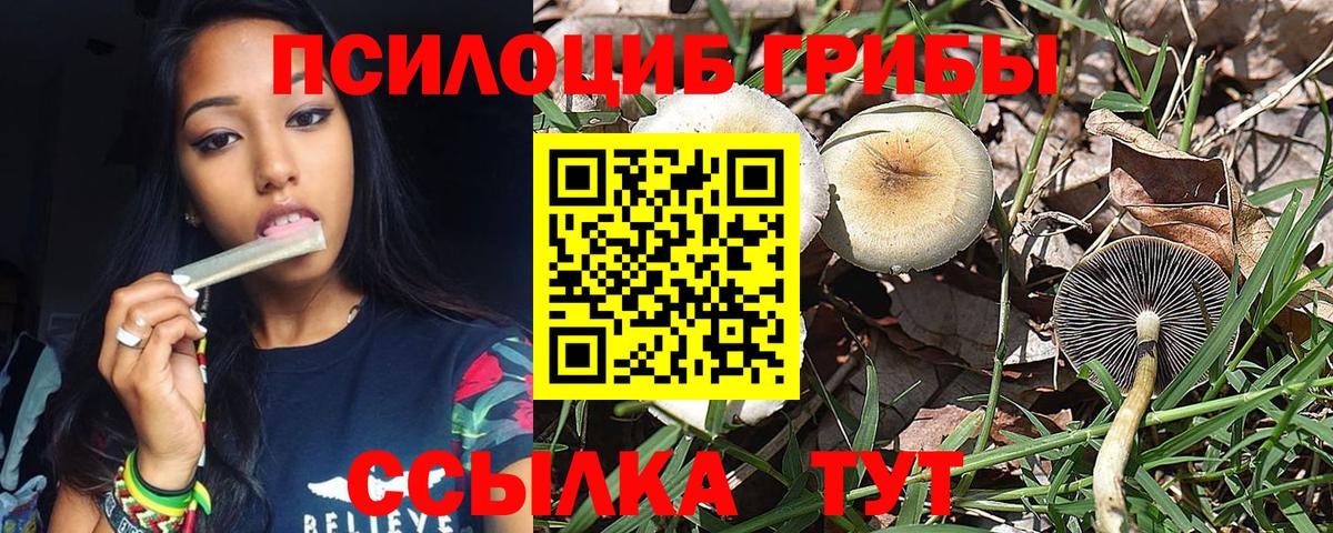 Псилоцибиновые грибы GOLDEN TEACHER Знаменск